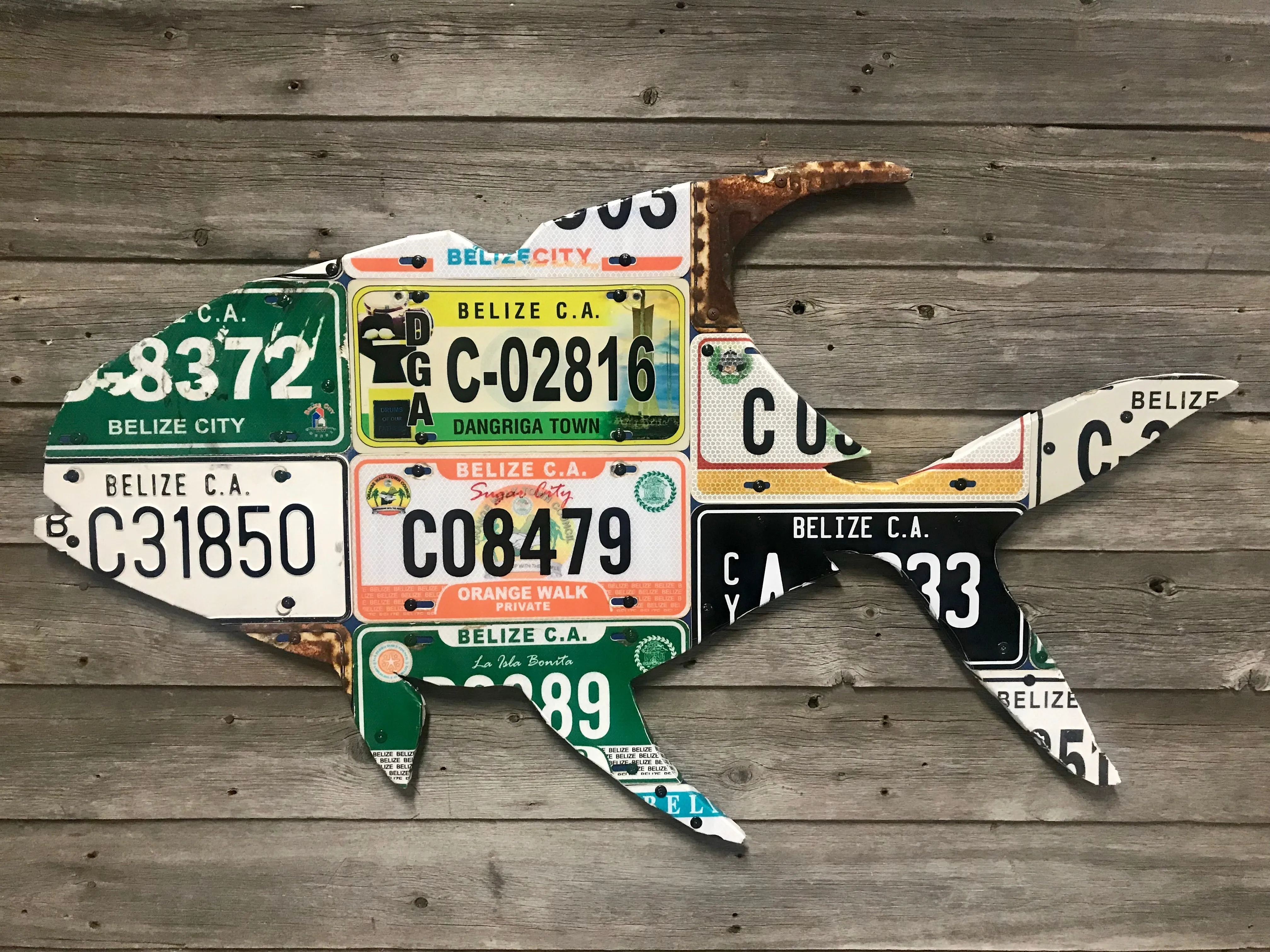 Belize Permit License Plate Art