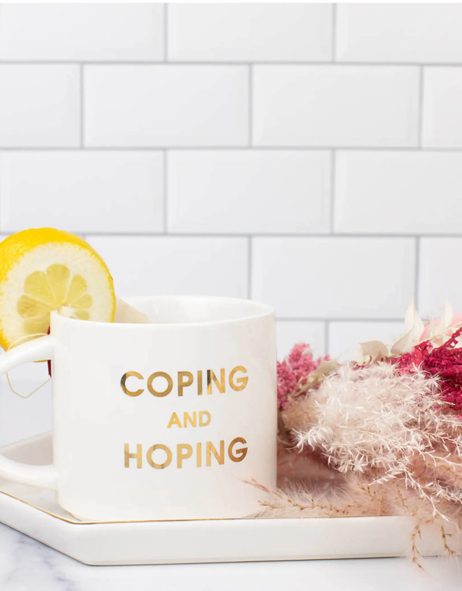   Coping & Hoping Mug