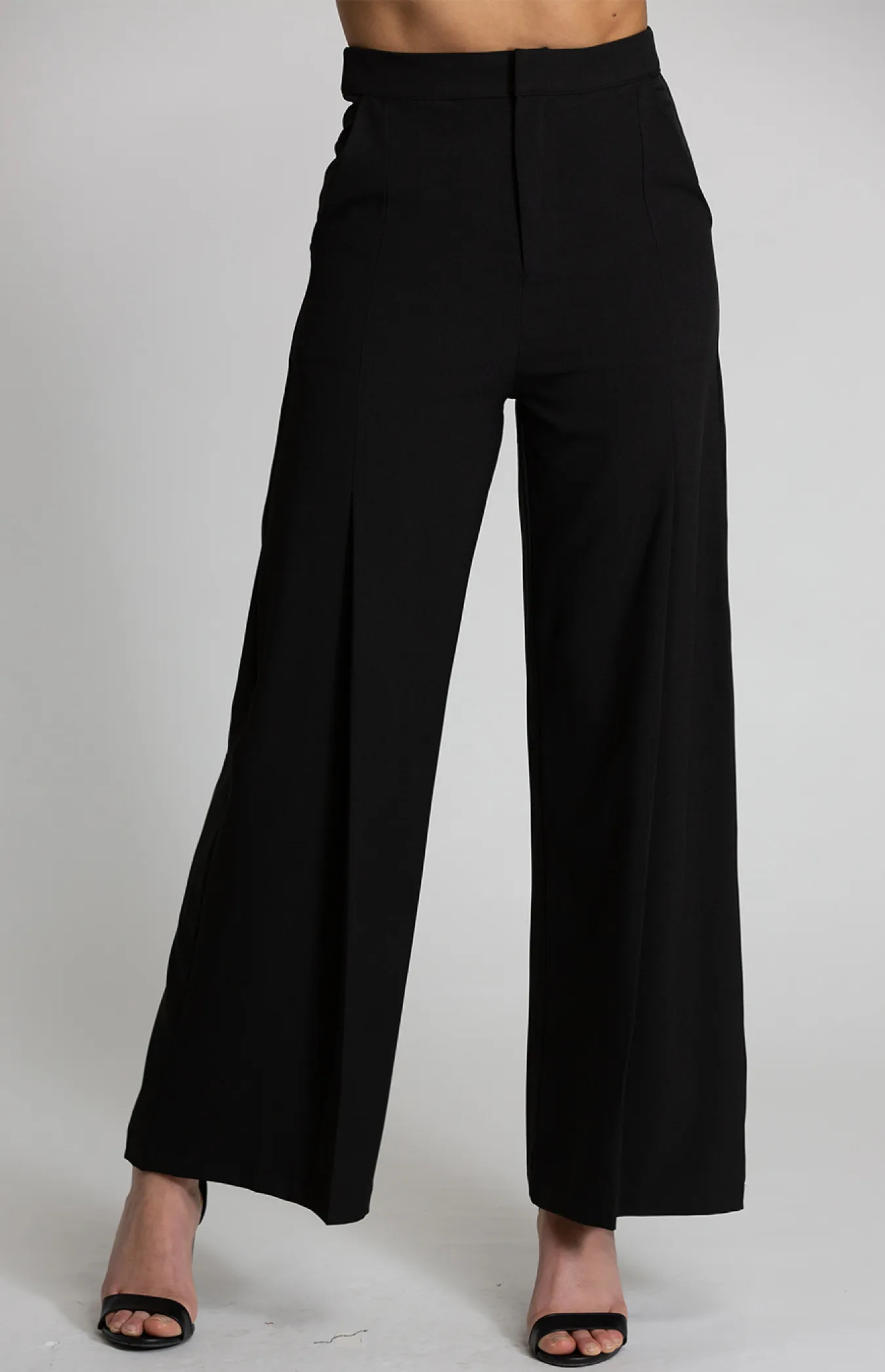 High Waisted Pants with Leg Pleat Detail (APA832B) 