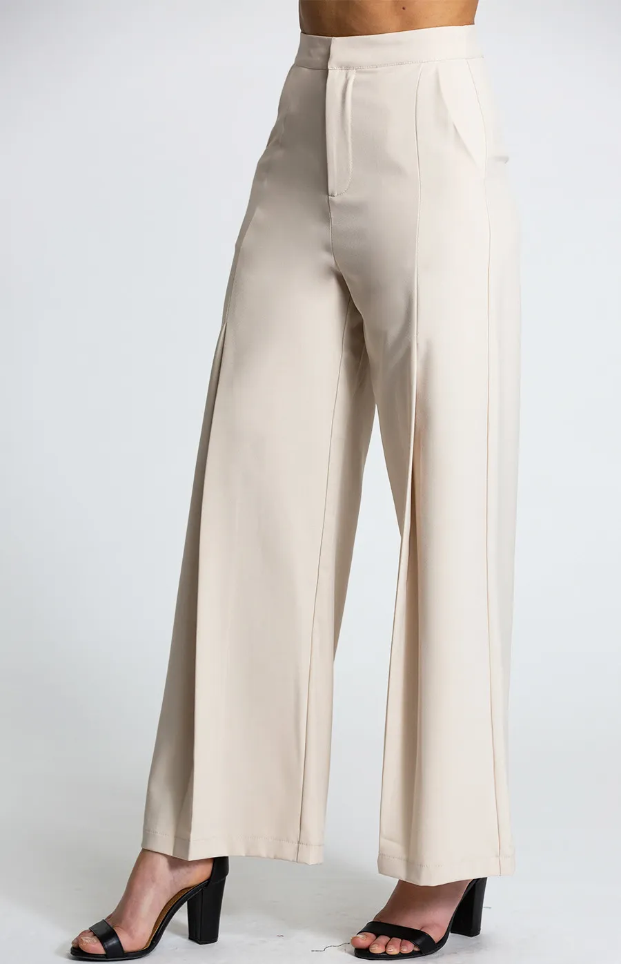 High Waisted Pants with Leg Pleat Detail (APA832B) 