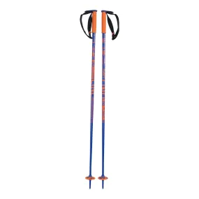 Line Dart Ski Pole