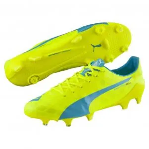 Puma Scarpe Calcio Evospeed Sl Fg