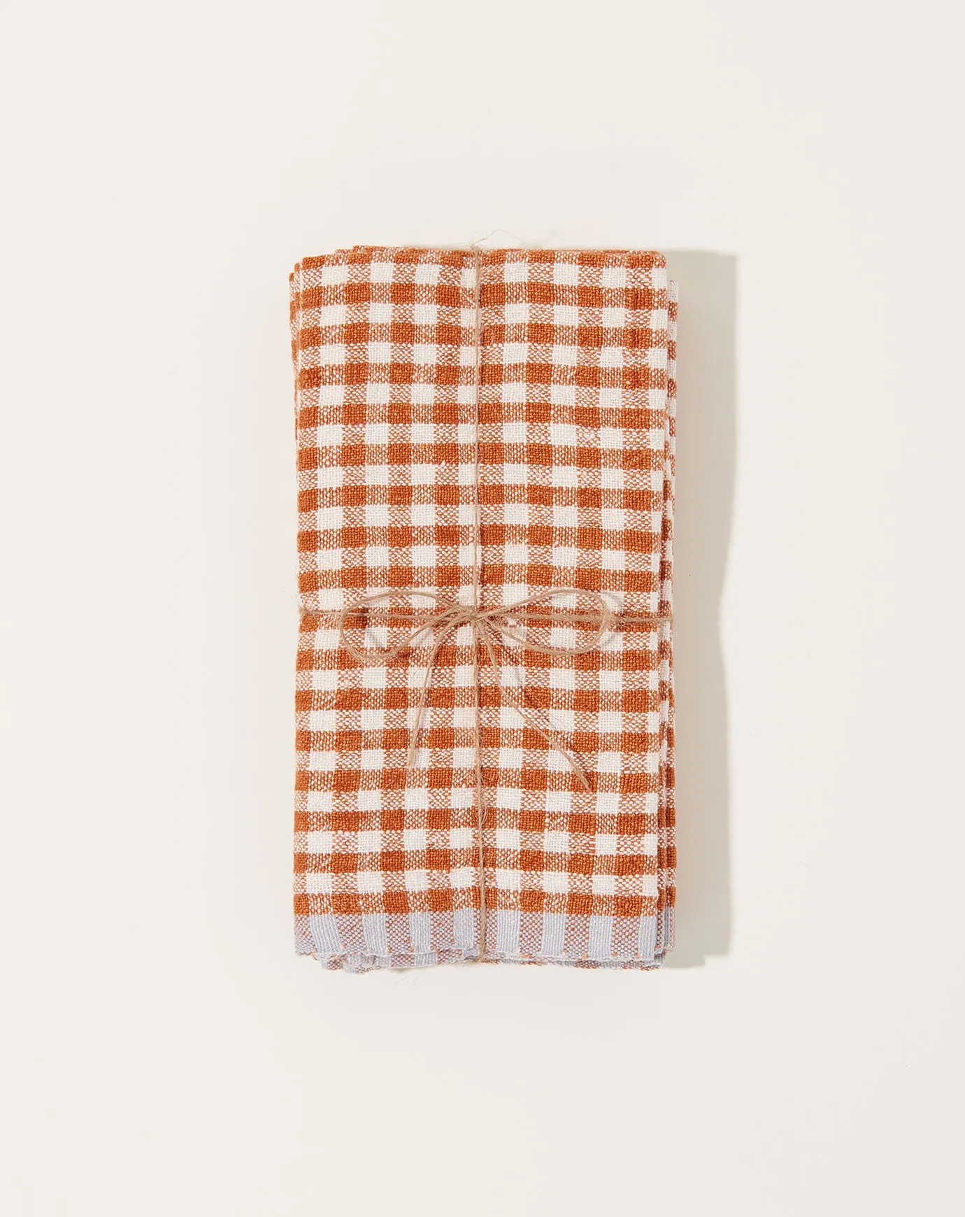 Two-Tone Gingham Napkins in Cognac & Blue, Set of 4