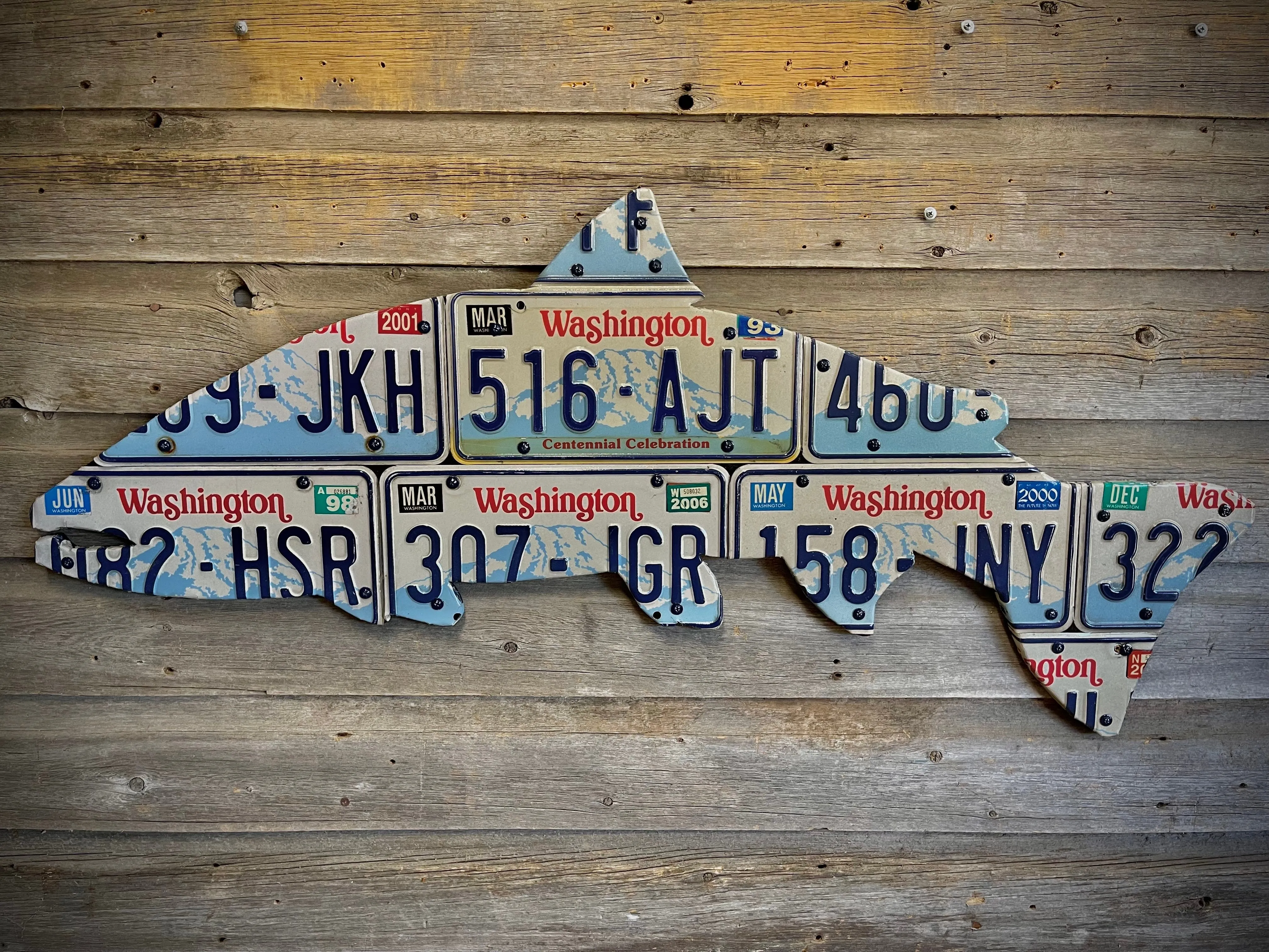 Washington Steelhead License Plate Art